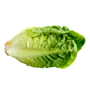 ליטל ג'ם ירוק