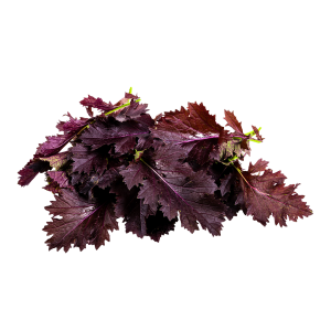 מיזונה אדומה